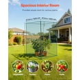 thumbnail image 2 of VEVOR Crop Cage, 3.9 x 3.9 x 5.9 ft Plant Protection Tent with Zippered Door, Wind-Resistant Tall Crop Cage, Easy to Install, Outdoor Raised Bed Cover, Tomato Plant Netting for Garden Patio Lawn, 2 of 9