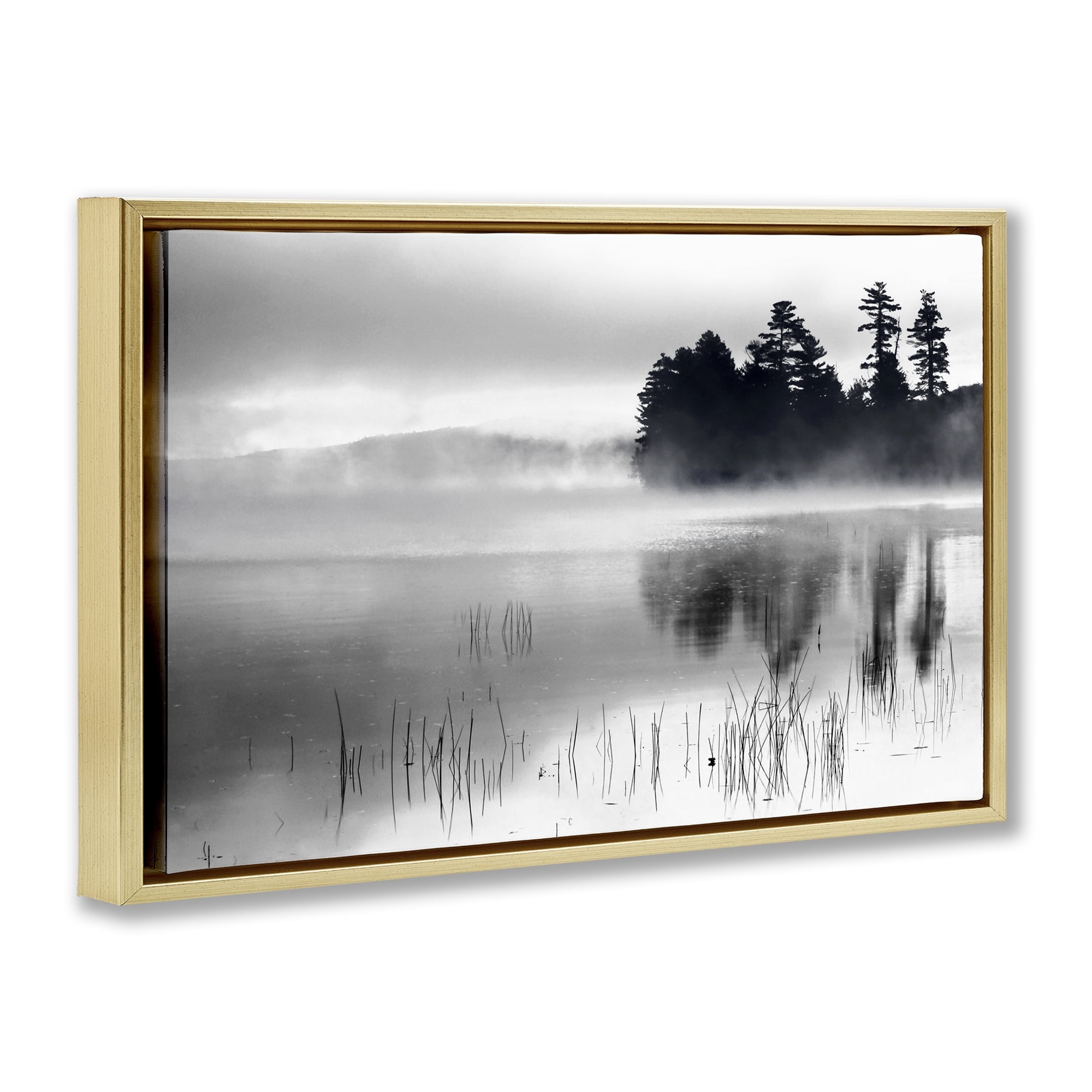 Stupell Industries Serene Lake Reflection Landscape Photography Gold Floater Framed Art Print Wall Art, 31 x 21