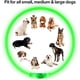 thumbnail image 4 of Collar para perro con luz LED BSEEN, collar para perro con flash recargable por USB, collar de seguridad para mascotas ligero que hace que sus queridos perros sean vistos por la noche para perros pequ, 4 of 7