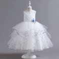 thumbnail image 1 of Vestido de princesa SDJMa para niñas pequeñas de mediana edad, sin mangas, de malla, de gasa, de princesa, 1 of 8