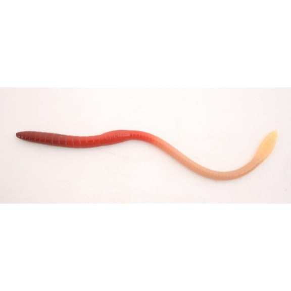 Creme 8'' Scoundrel Worms