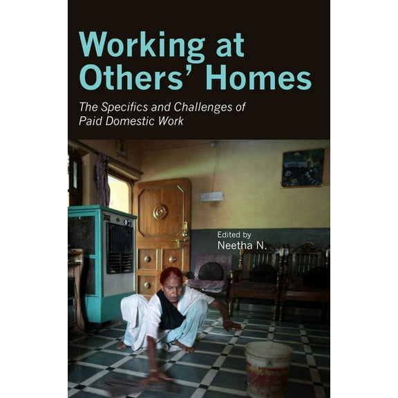 Working at Others' Homes: The Specifics and Challenges of Paid Domestic Work (Hardcover)