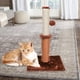 thumbnail image 4 of Árbol para gatos, condominio, torre, muebles, cama, rascador, casa para mascotas, actividad café, 4 of 7