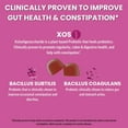 thumbnail image 5 of Llama Naturals Probiotics for Women and Men with Prebiotic Fiber, Vegan, Organic, Probiotic Gummies for Gut Health Support, Adults Real Fruit Gummy Vitamins, No Added Sugar Cane, Mixed Berry, 60 Ct, 5 of 7