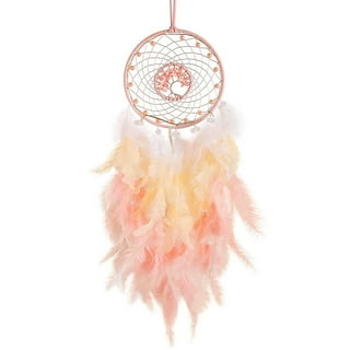 Nice Dream Little Dream Catcher with LED Light, Handmade Feather Dream  Catcher, Home Ornament Wall Decor - 15cm Diameter, 48cm Length (Pink) 