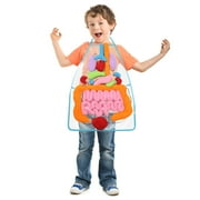 RoamReady Human Body Organ Anatomy Apron Awareness Toy for Children