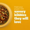 thumbnail image 6 of Pedigree Dry Puppy Food, Puppy Dry Food with Grilled Steak & Vegetable Flavor, 3.5 lb. Bag, 6 of 10