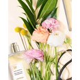 thumbnail image 3 of Lavanila - The Healthy Fragrance Propre et Naturel, Parfum Vanille Pamplemousse pour Femmes (1.7 oz), 3 of 5