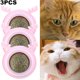 thumbnail image 5 of 3 Uds Bolas Hierba Gatera Plástico Juguete para Gatos Reemplazable Forma Cabeza Perro Suministros () Rosa, 5 of 5