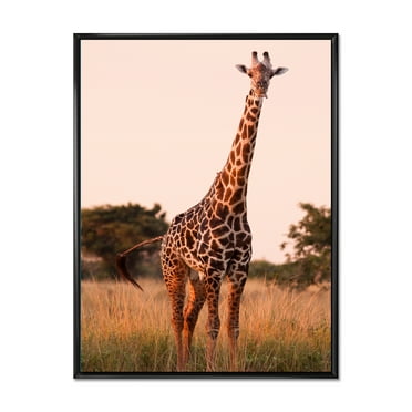 African Giraffe In The Wildlife I 16 in x 32 in Framed Photography Canvas Art Print, by Designart