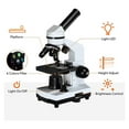 thumbnail image 5 of 40X-2500X Microscopes For Kids Students Adults Powerful Biological Educational Microscopes With Slides Set Phone Adapter, 5 of 7