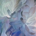 thumbnail image 2 of Pollard, David 15x15 White Modern Wood Framed Museum Art Print Titled - Chrysanthemum V, 2 of 4