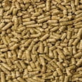 thumbnail image 2 of Alimento Cuyo Mazuri 1.3kg, 2 of 3
