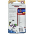 thumbnail image 2 of Juego de cartas coleccionables Pokémon TCG Sun & Moon Incineroar Deck, 2 of 2