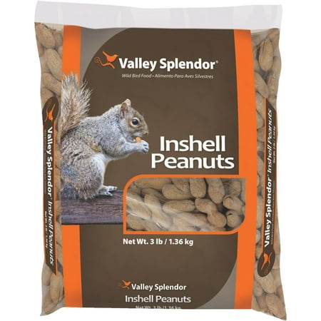 Valley Splendor Inshell Peanuts Squirrel Food (Best Food For Baby Squirrels)