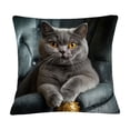 thumbnail image 2 of Tuvgenk Throw Pillow Covers Comfort Cat 18x18 in Couch Cushion Covers Durable Animals Home Decorative Body Pillow Cover with Zipper, 2 of 6