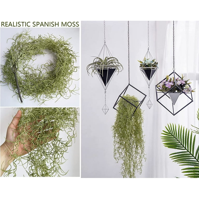  Waydress Christmas Artificial Vines Moss Faux Greenery Moss for  Potted Plants Realistic Spanish Moss Hanging Plants Artificial Decor Fake  Moss for Christmas Decor (Novel Style,6 Pieces) : Home & Kitchen