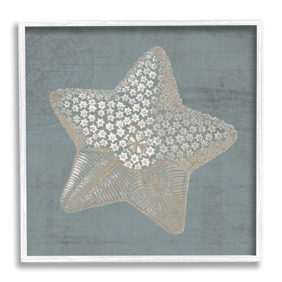 Patterned Starfish Aquatic Sea Life Animals & Insects Graphic Art White Framed Art Print Wall Art