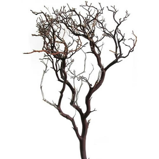 Natural Manzanita Branch, 24" Tall
