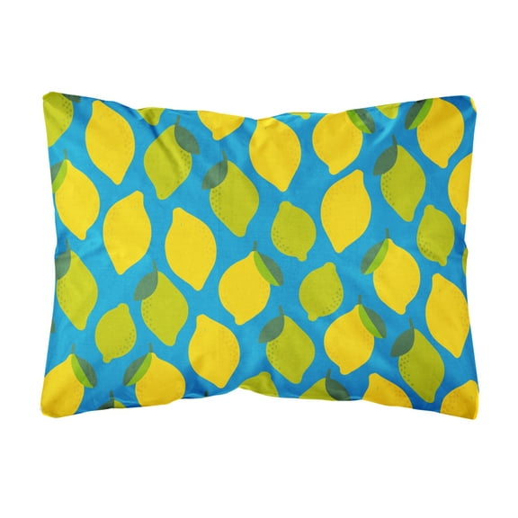 Carolines Treasures BB5150PW1216 Lemons and Limes Canvas Fabric Decorative Pillow, 12H x16W, multicolor