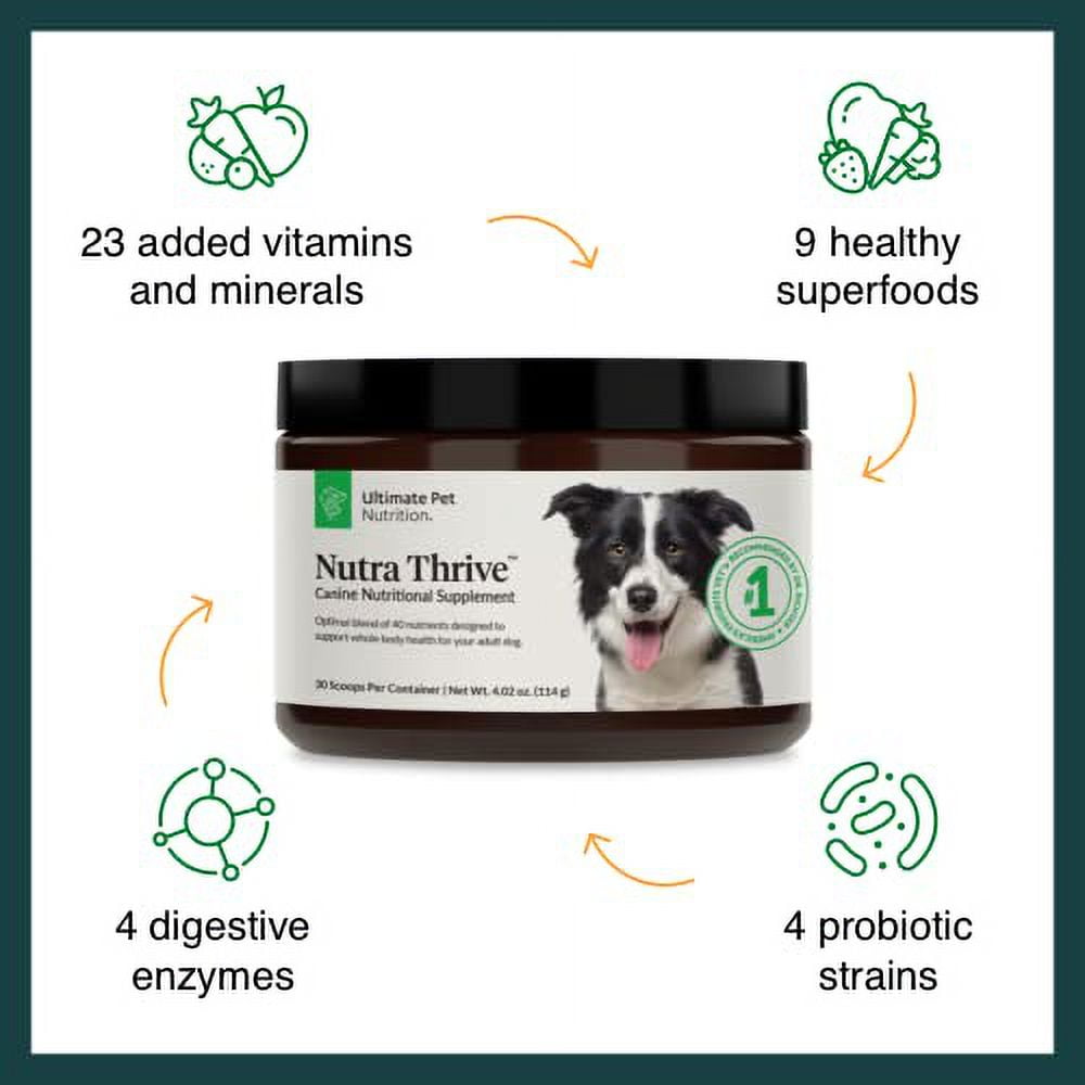 Boost Your Dog s Health with Nutra Thrive Canine 40 in 1 Nutritional Supplement Powder for Digestion Immune Support Vitamins Minerals