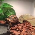 thumbnail image 4 of LLDYYDS Reptile Hides and Caves Rock Reptile Hideout Terrarium Habitat DÃ©cor for Bearded Dragon Lizards Ball Python Snakes One Size, 4 of 5