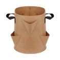 thumbnail image 1 of Non-woven Fabric Planting Bags Visualization Pockets Garden Supplies 3 Pcs Widely Used Planter Pot With Handles, 1 of 1