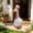 White A, variant on AuroraX Porch Goose Clothes Set 23" Porch Goose Chef Jacket Outfit 17-19 In Funny Cute Porch Goose Accessories Porch Duck Clothing Lawn Garden Decor