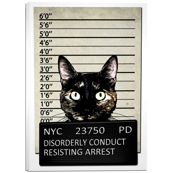 Cortesi Home  'Kitty Mugshot' by Nicklas Gustafsson Giclee Canvas Wall Art - Black 40 x 60