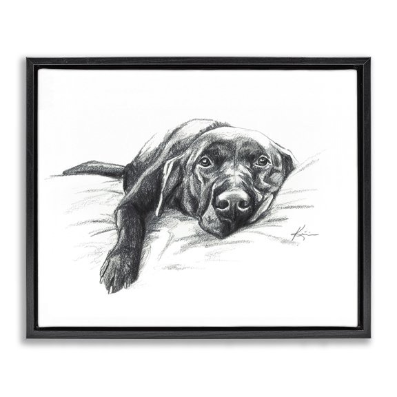 Stupell Industries Naptime Black Labrador Animals Drawing Black Floater Framed Canvas Art Print Wall Art, 21 x 17