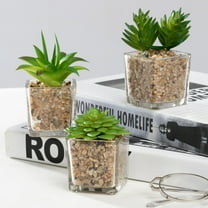 K-Cliffs Mini Succulent  Potted in Modern Cube Shape Clear Glass Pots 3pcs Set.Overall- 8.3L x 3.9W x 4.3H inches; each Pot (not including Plants)- 2L x 2W x 2H inch