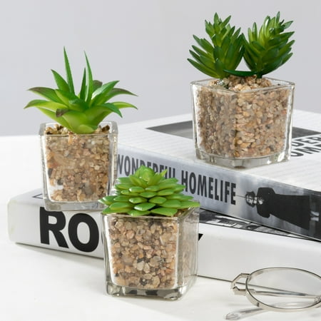 Modern Mini Artificial Succulent Plants Potted in Cube-Shape Clear Glass Pots for Home Decor, Set of