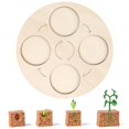 thumbnail image 3 of Plant Life Cycle Of A Growth Stage Model Educational Plant Growth Cycle Toy, 3 of 5