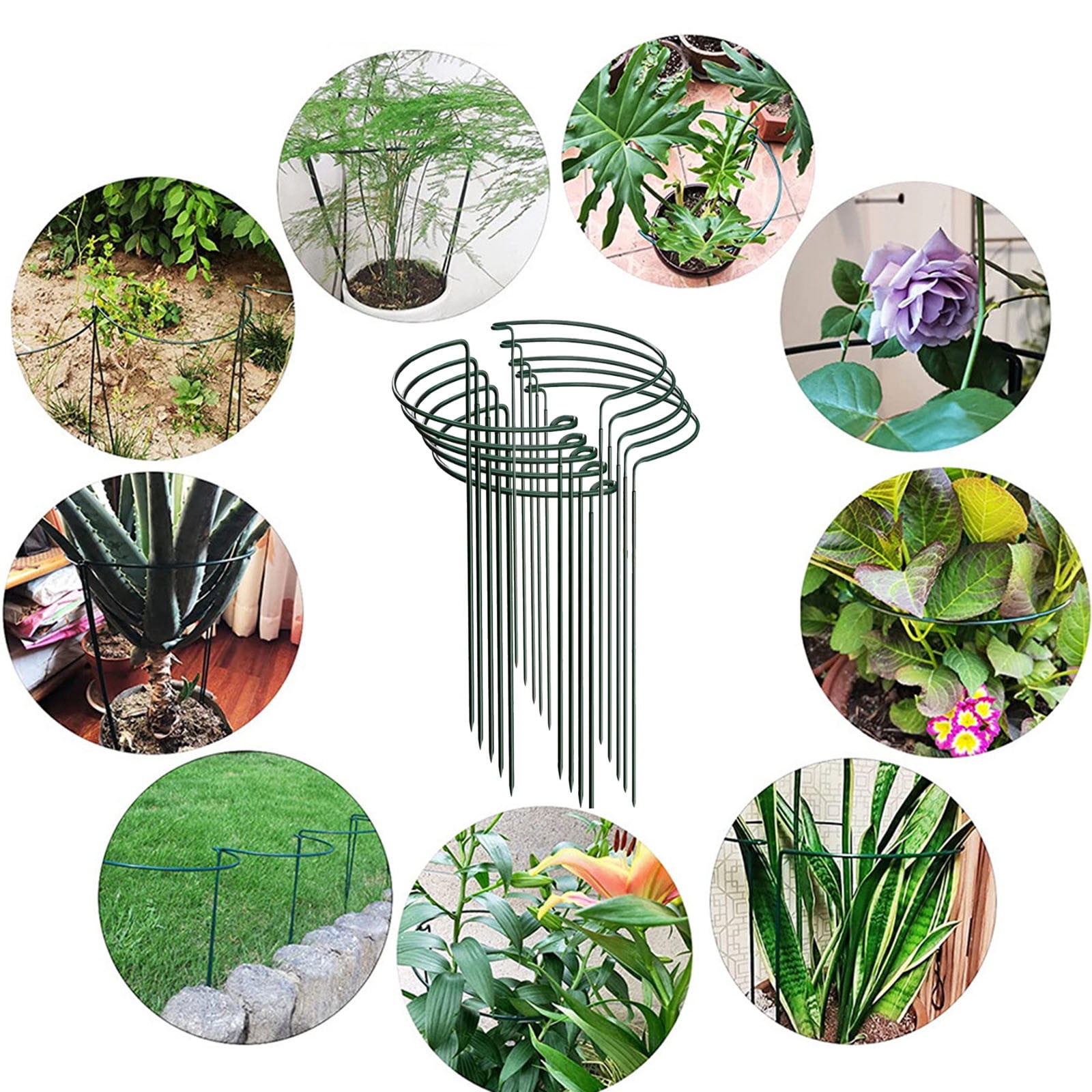 10 Pack Metal Support Rings - 15.8" Tall Half-Round Garden Stakes for Peonies, Tomatoes & Climbing - Heavy Duty Flower Cage Supports (10" Wide)