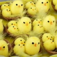 thumbnail image 6 of Bisitoy Easter Decorations: Pack of 12 Yellow Fuzzy Chicks for Holiday Display, 6 of 9