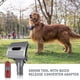 thumbnail image 5 of Adecuado para el kit de aseo para perros Dyson V15 con adaptador convertidor, 5 of 5