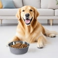 thumbnail image 4 of Stainless Steel Pet Supplies – Durable and Easy to Clean Feeding Bowls for Dogs and Cats Metal Food and Water Dishes for Home and Kennels, 4 of 4