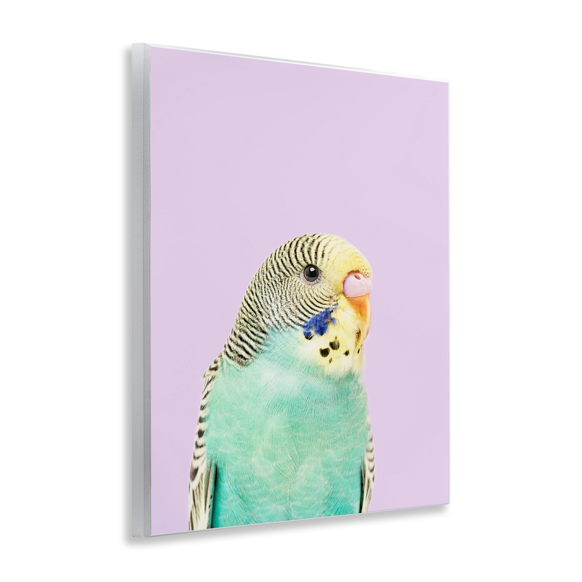 Stupell Industries Pastel Budgie Bird Animals Painting Unframed Art Print Wall Art, 11 x 14