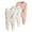 Pink, variant on Tiijoy Baby 3-Pack Onesies Long Sleeve Sleepers Soft Footies Jumpsuit, Sizes 9-12M
