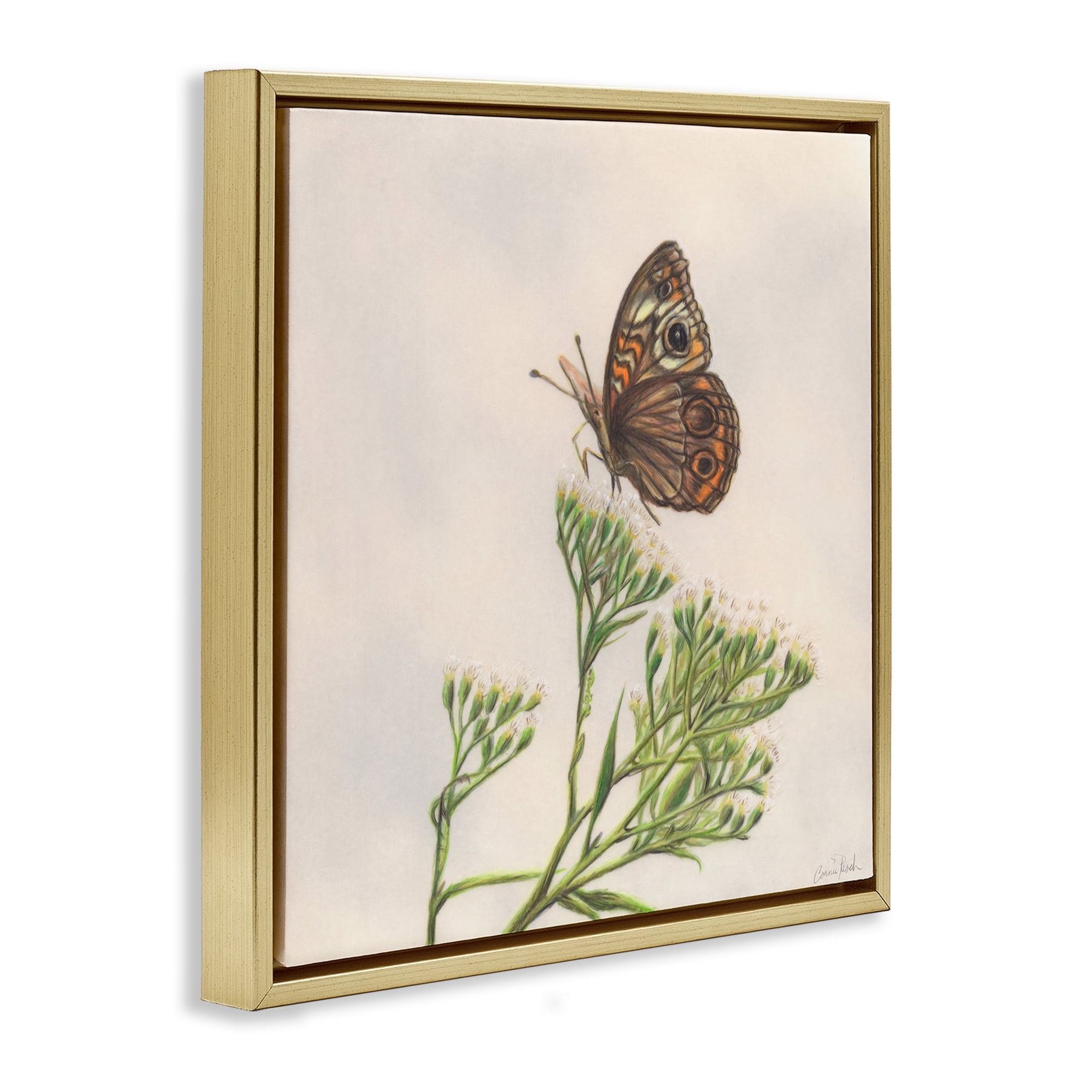 Stupell Industries Spring Offerings Butterfly Animals & Insects Painting Gold Floater Framed Canvas Art Print Wall Art, 25 x 25
