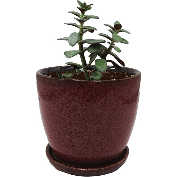 India Meets India Cup Plate Ceramic Flower Pot Planter Indoor Outdoor Planter 4 Inch Handicraft by Awarded Indian Artisan (Brown)