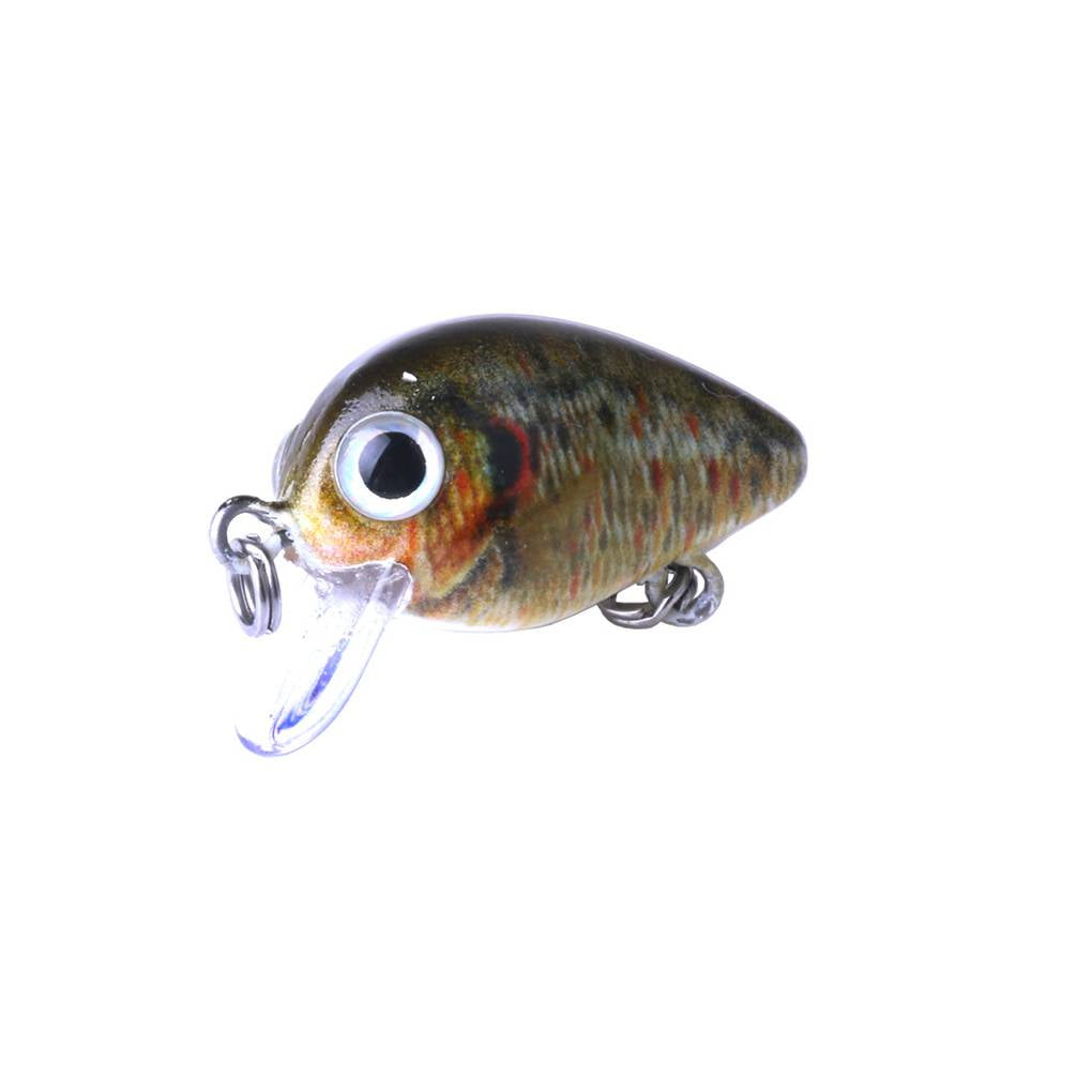 10Pcs Hard Fishing Lure Assorted Insects Bass Crankbait for Saltwater Freshwater 
