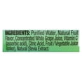 thumbnail image 3 of Stur Fruit Punch Liquid Water Enhancer  - Case Of 6 - 1.62 Fz, 3 of 3