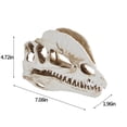 thumbnail image 3 of Dmlowu Animal Skeletons Halloween Decorations, 5x7" Plastic Halloween Skeleton for Home Decor, Spooky Dinosaur Skull Skeleton for Halloween Decorations Outdoor & Infoor, White, 3 of 7