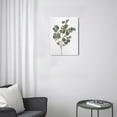 thumbnail image 3 of Botanical Elegance12x16 Framed Sage Green Eucalyptus Canvas Art - Boho Bathroom & Bedroom Decor, 3 of 7