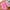 Hot Pink, variant on Carpet Wool Imitation Sheepskin Rugs Faux Non Slip Bedroom Shaggy Carpet Mats Black S More Area Rug, Floor Carpet, Indoor Carpet, Carpet Runners, Rug Pad, Carpet Tiles in Our Store Wtsjunt