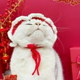 thumbnail image 6 of Cat Knitted Hat New Year Style Pet Cute Accessories Cartoon Animal Pet Woolen Yarn Hat Puppy Headdress for Tiger Year, 6 of 8