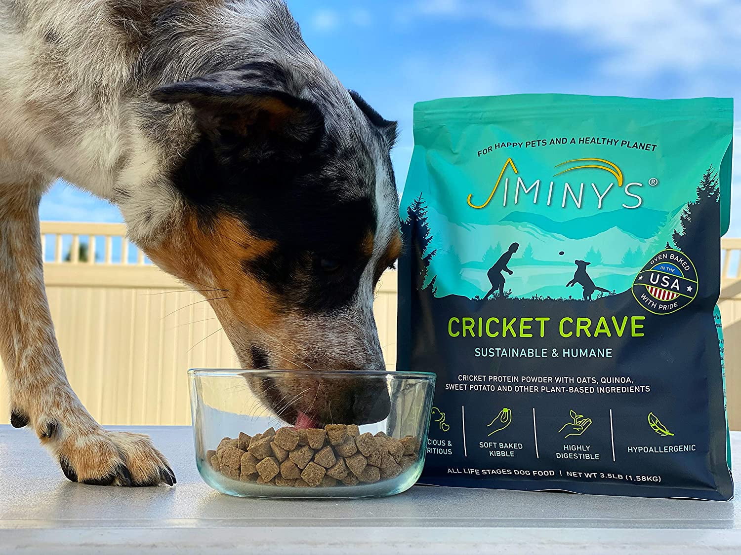 cricket cat food