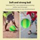 thumbnail image 3 of Eigraketly Pelota de juegos de arcoíris degradada de 8,5 pulgadas para niños, pelota de patada hinchable de PVC para parque de patio trasero y Ropa Deportiva, Zapatos Numero 3 Eigraketly OD016719-03, 3 of 6