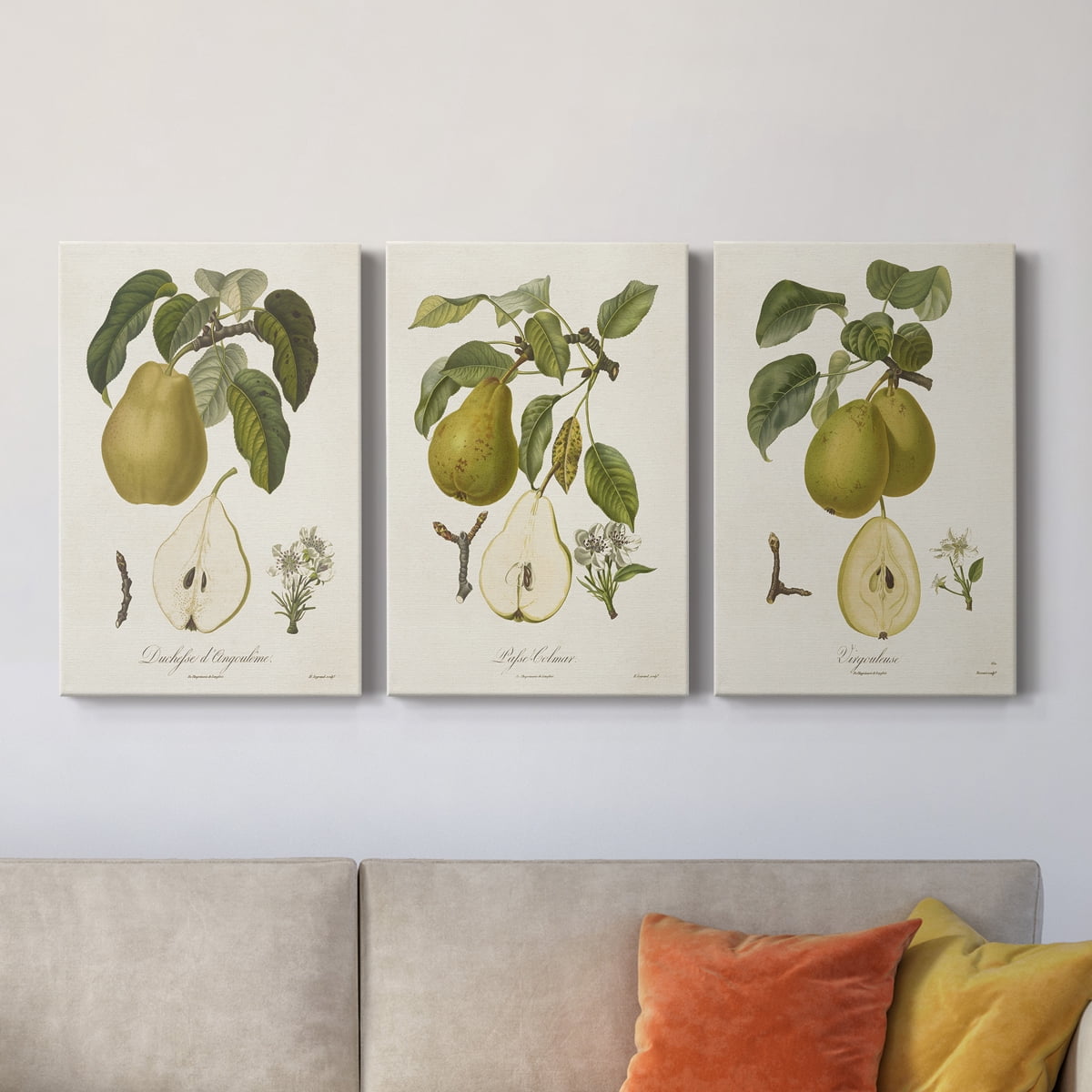 Vintage Pears I Premium Gallery Wrapped Canvas - Ready to Hang - 18 x 27 Each